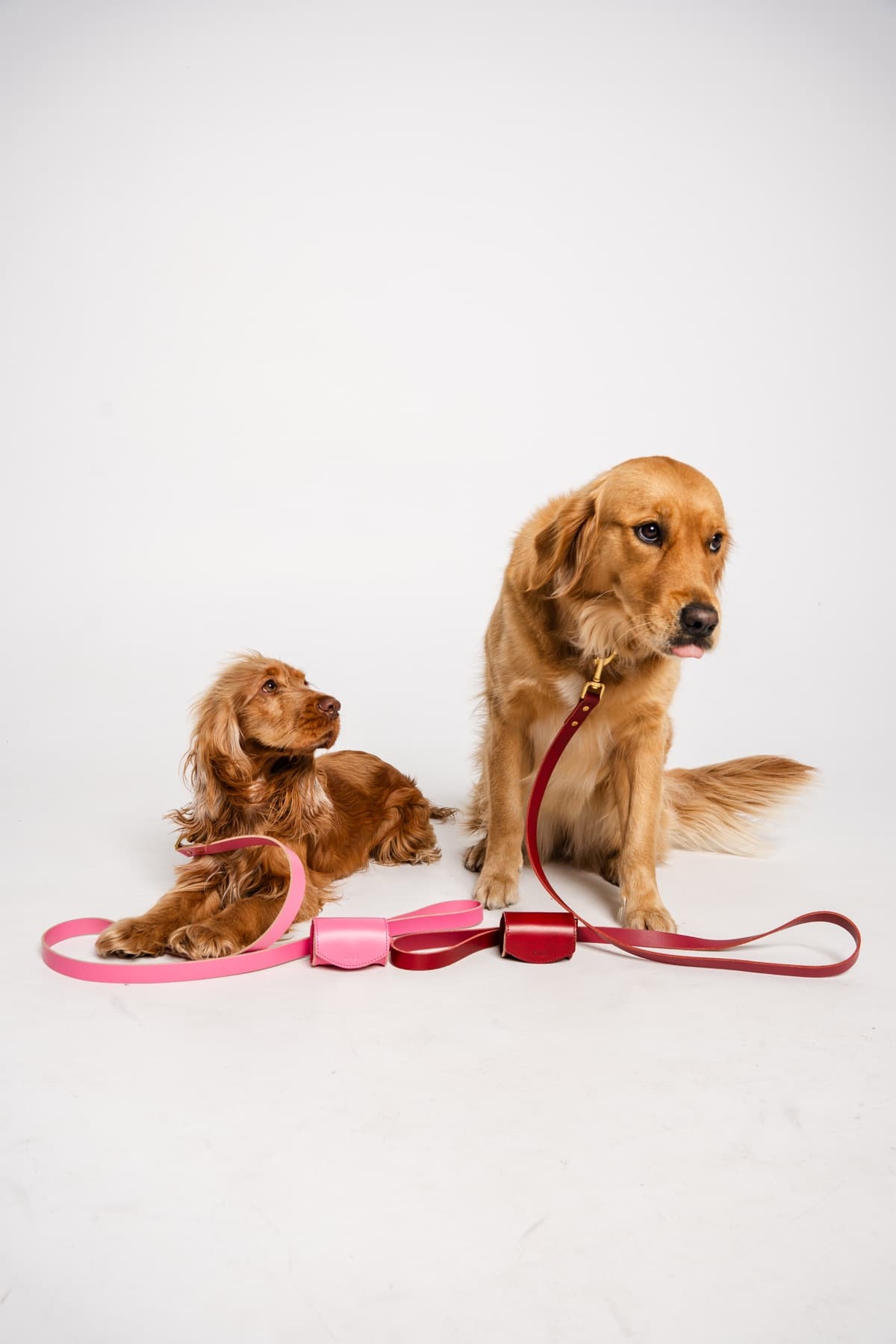 Duo Product Shot